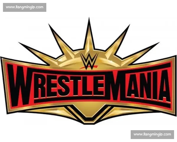 体育综合PC版权威赛事资讯数据分析与互动体验平台全新升级呈现